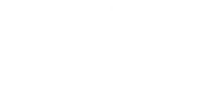 ACL authentic retailer