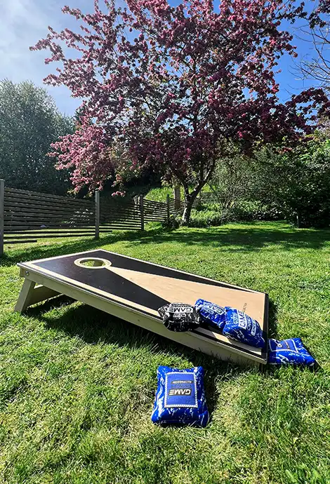 Cornhole bags